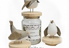 Cover "Sparrows" | Online store of linen products «Linife»